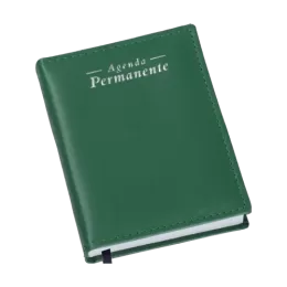 Agenda Compacta Permanente Metalizada Lisa Verde