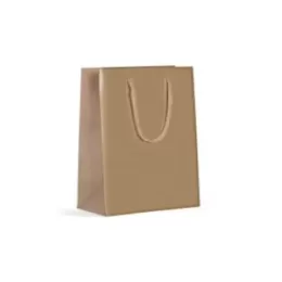 Sacola em Papel Duplex Kraft CY-20