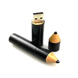 Pen Drive Lápis 3D - GIPESD
